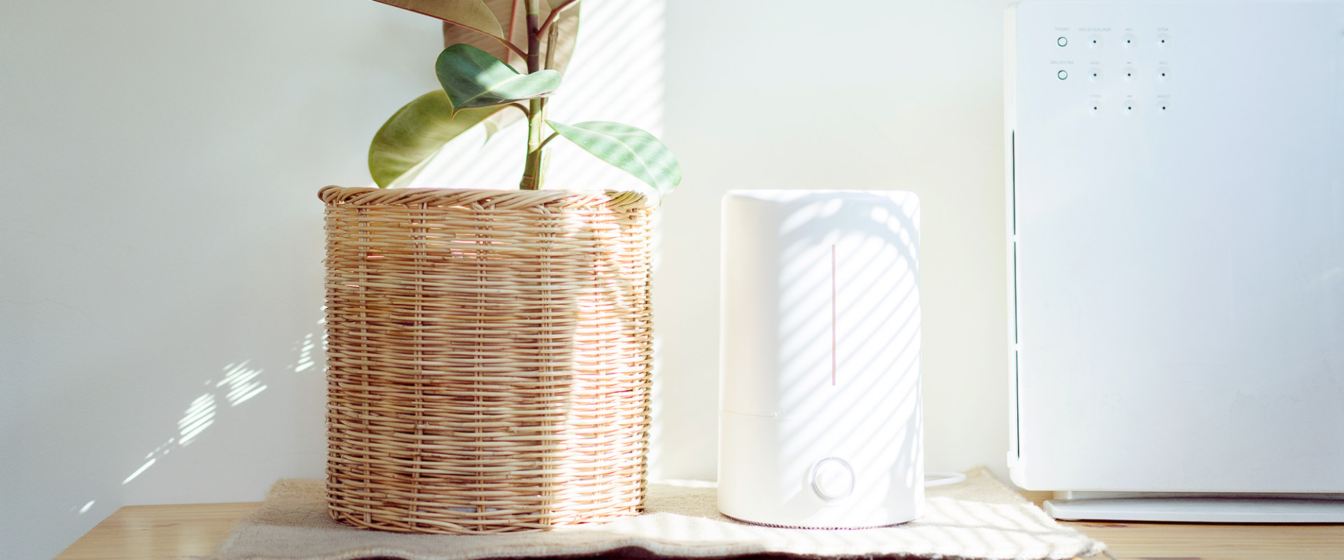 Do Ionizer Air Purifiers Really Improve Indoor Air Quality?