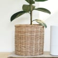 Are Ionizing Air Purifiers Safe? A Comprehensive Guide